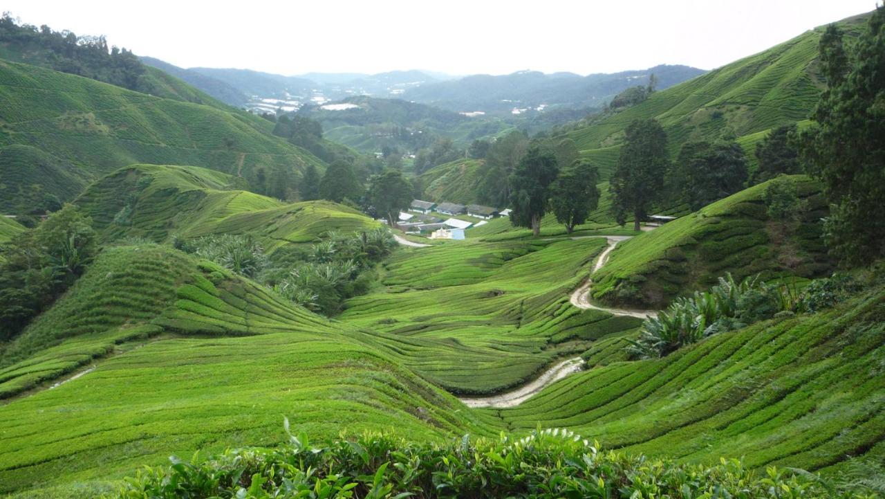 The Quintet Cameron Highlands By Tulip 타나라타 외부 사진